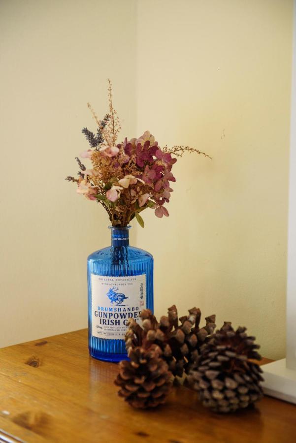 Waterfront Self Catering Houses Carrick on Shannon المظهر الخارجي الصورة